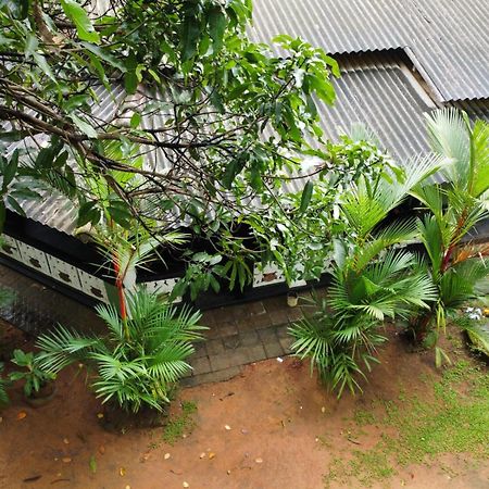 Green Bamboo House Sigiriya Exterior foto