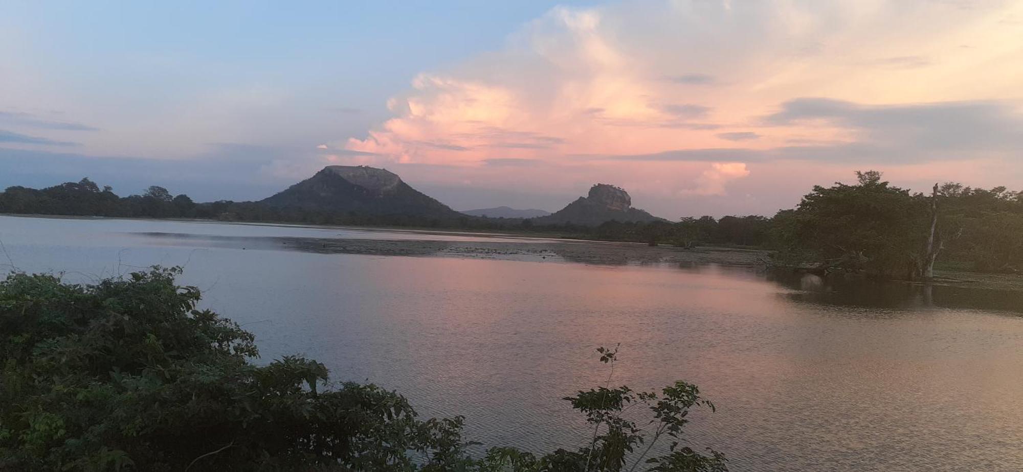 Green Bamboo House Sigiriya Exterior foto