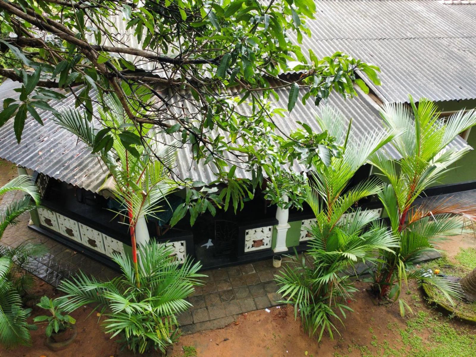 Green Bamboo House Sigiriya Exterior foto