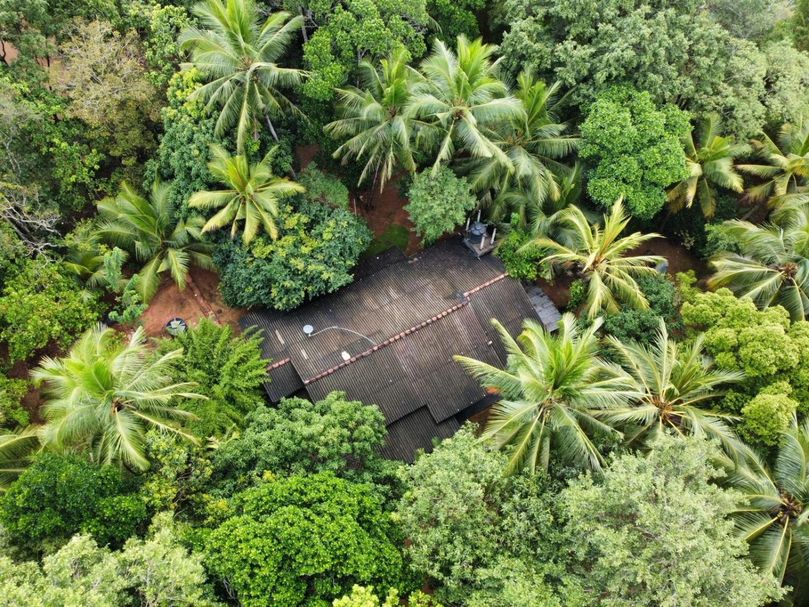 Green Bamboo House Sigiriya Exterior foto